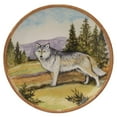 thumbnail image 2 of Certified International Mountain Summit Assorted Colors Dinner Plate (Set of 4), 2 of 4