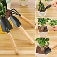 thumbnail image 3 of Vacemry Under $5 Gardening Tool Set, 12-Piece Portable Garden Hand Tools, Mini Rake Trowel Shovel, Bonsai Succulents Planting Kit, Herb Terrarium Maintenance, 3 of 5