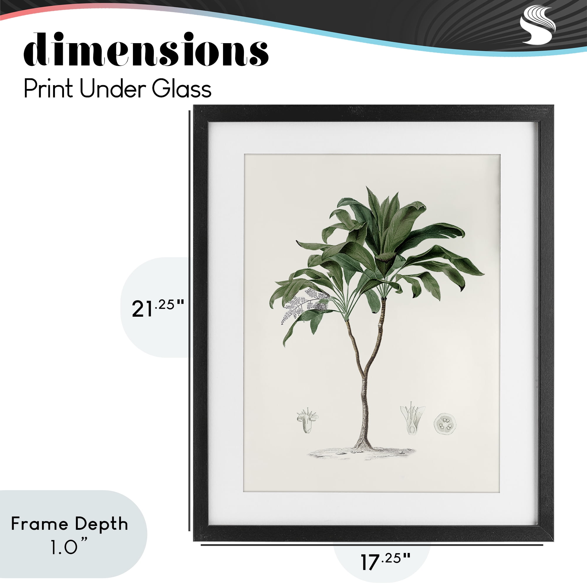 Stupell Industries Coastal Palms Vintage Black Framed Print Under Glass, design by Val Rhodes