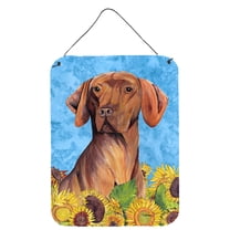 Vizsla in Summer Flowers Wall or Door Hanging Prints