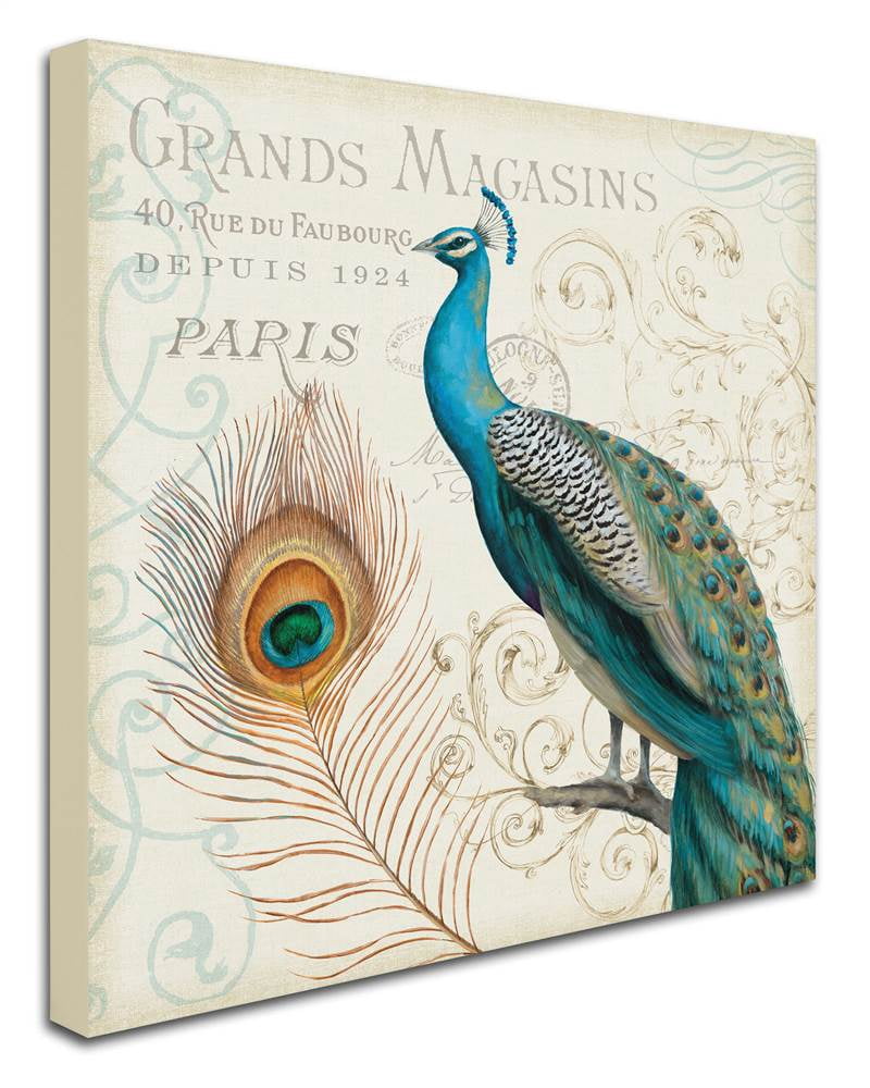 Trademark Fine Art "Majestic Beauty II Square" Canvas Art by Daphne Brissonnet