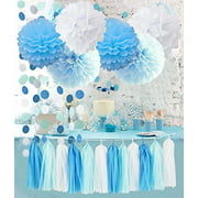 Birthday Party Decorations Baby Blue White Turquoise Blue Tissue Paper Pom Poms Snow Theme Party Decor Baby Boy First Birthday Decorations Circle Garland Whales Boy Baby Shower Decorations