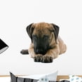 thumbnail image 1 of Puppy Great Dane Lying Wall Decal by Wallmonkeys Peel and Stick Graphic (18 in W x 12 in H) WM173871, 1 of 4