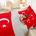 thumbnail image 5 of Manfei Turkey Flag 7-Piece King Bedding,Vintage Patriotic Theme King Bed in a Bag,Red White,Light Gray Reversible, 5 of 7