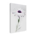 thumbnail image 4 of Trademark Fine Art Antonio Grambone In My Garden 3 Canvas Wall Art, 4 of 4