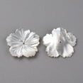 thumbnail image 2 of Natural White Shell Mother of Pearl Shell Beads Carved Sakura WhiteSmoke 20.5x21x2~3mm Hole: 1mm, 2 of 2