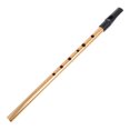 thumbnail image 3 of PENIKOKO 1Pc Recorder Instrument for Kids with 6 Hole Design and Metal Finish, 3 of 8