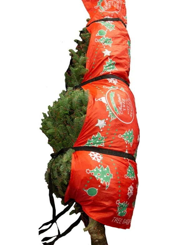 Shop Holiday Deals on Real Christmas Trees