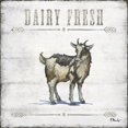 thumbnail image 2 of Gango Home Decor Country-Rustic Country Rustic Farmhouse 'Farm Fresh' and "Dairy Fresh" Sheep and Goat Set by Paul Brent (Printed on Paper); Two 12x12in Unframed Paper Posters, 2 of 5