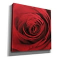 thumbnail image 2 of Epic Graffiti 'The Red Rose II' by Lori Deiter, Canvas Wall Art, 12"x12", 2 of 8