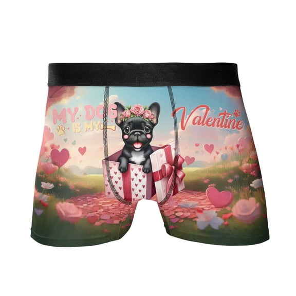 My Dog Is My Valentine Cute French Bulldog in Gift Box All Over Print Boxer Briefs Underwear for Men Dad Dog Lover Gifts - 3006