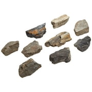 American Educational Plant Petrified Wood Fossil (Pack of 10)
