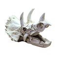 thumbnail image 1 of 1 piezas resina dinosaurio cráneo decoración escondite refugio adornos tal como se describe Yuyangstore paisajismo del acuario, 1 of 8