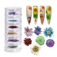 thumbnail image 1 of Arte de uñas Flor seca Sol japonés Flor 3D Tridimensional Tendencia Arte de uñas Flor seca Joyería Wmkox8yii hjk1178, 1 of 1