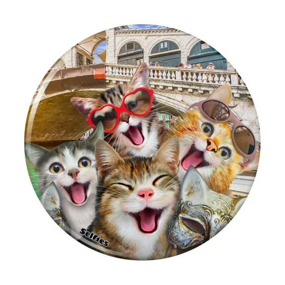 Venice Italy Cats Selfie Pinback Button Pin