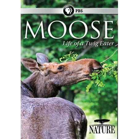 Nature: Moose - Life of a Twig Eater (DVD)
