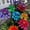 multicolor, variant on Outdoor Flower Garden Stake, 12" Outdoor Waterproof Metal Art Stick Flowers,Garden Decor for Women Mom Grandma Halloween Hanging Metal Stakes for Garden,Lawn,Patio (Random Colors)