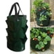 thumbnail image 2 of Bolsas de cultivo de papas de 3 galones para interior y exterior, maceta para plantar fresas y vegetales Verde, 2 of 9