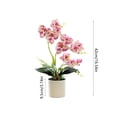thumbnail image 3 of Phalaenopsis Bonsai Artificial Potted Plant, Lifelike Silk Flower Home Office Desktop Decoration, Adjustable Arrangement for Wedding Centerpiece, Table Display, Shop Decor and Home Accent, 3 of 6
