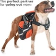 thumbnail image 4 of Correa retráctil para perros, de 3, 5 y 8 metros, correa flexible para entrenamiento y paseos (gris, 3 metros), 4 of 5