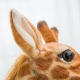 thumbnail image 2 of Giraffe Plush Toys Stuffed Animal Dolls Soft Home Realistic Animals Doll Girl Baby Present Prop Toy Room Decor Giraffe 45cm 0.28kg, 2 of 5