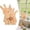 D, variant on Wooden Easter Bunny Family Puzzle, Wooden Bunny Puzzle for Home Crafts, Easter Decorations, House Warming Decor, Birthday Family Party Gifts for New Baby Easter Basket Stuffers, 2 Rabbits