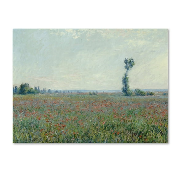 Monet 'Poppy Field' Canvas Art