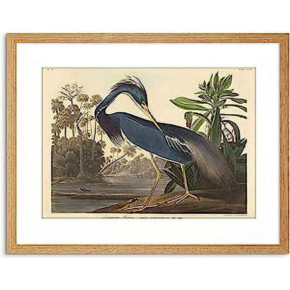Painting Bird Audubon Louisiana Heron Artwork Framed Wall Art Print 9X7 Inch