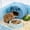 Blue, variant on Rat Hamster Warm Bed House Cusion Fleece Hut Hanging Hammock Cute Toy Nest for Mini Small Animal Mice,Sugar Glider,Chinchilla,Dwraf Hamster