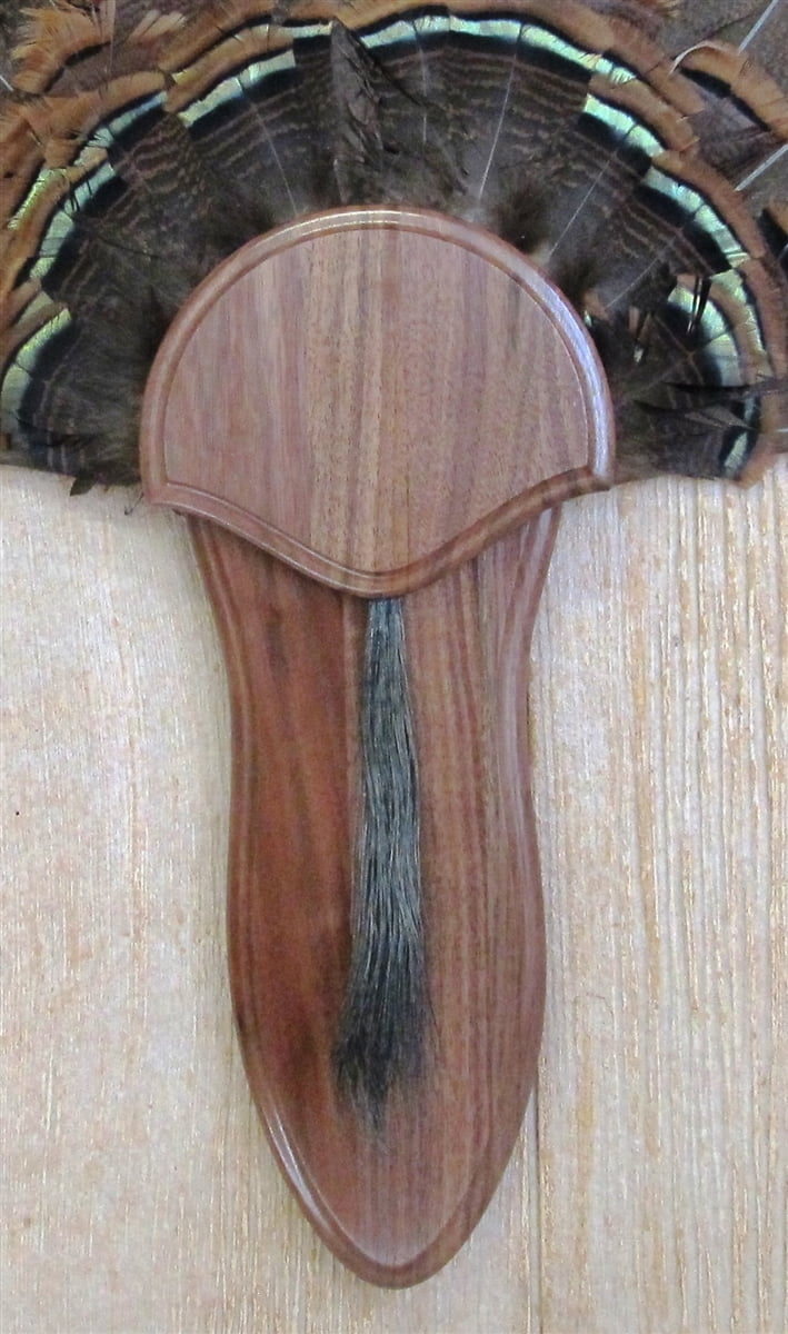 The Taxidermists' Walnut Turkey Fan Mounting Kit 03