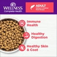 thumbnail image 2 of Wellness Complete Health Dry Cat Food, Salmon & Salmon Meal Recipe, 5lb Bag, 2 of 8