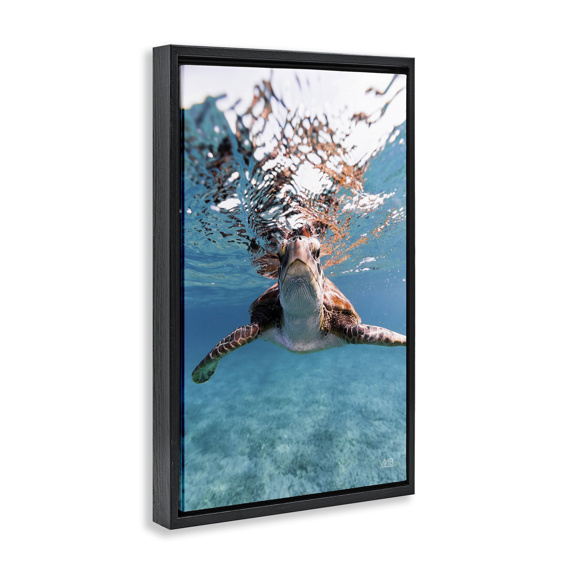Stupell Industries Hello Sea Turtle Splash Animals Photography Black Floater Framed Canvas Art Print Wall Art, 17 x 25