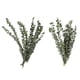 thumbnail image 5 of Toystoory 10PCS/Bundle Green Leaf Bouquet Dried Flower Real Home Branches Preserved Fresh Eucalyptus Shelf Decoration Long Life Decoración del hogar 40-50cm Toystoory HA039741-02, 5 of 6