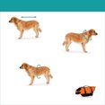 thumbnail image 2 of Chaleco Reflectante De Rescate Para Perros Naranja S, 2 of 5
