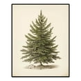 thumbnail image 2 of Christmas Wall Art Prints Vintage Christmas Decor Christmas Tree Pictures Pine Tree Botanical Winter Posters Xmas Canvas Painting for Bedroom Bathroom Living Room Office Decor (8" x 10"-Unframed), 2 of 6