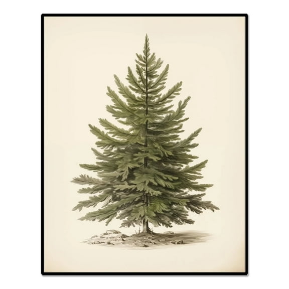 Frameless Canvas Wall Art, Vintage Christmas Decor, Living Room Pine Tree Winter Artwork, Botanical Fir Decor for Bedroom Bathroom, Cottagecore Xmas Holiday Decorations Gifts, 12x10 Inch