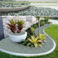thumbnail image 2 of 20lb Green Zeolite for Plants, 3/8" Natural Succulent Potting Soil Amendments, Decorative Gravel for Cactus, Bonsai Gritty Rock, Pebbles Pumice for Vase Fillers, Top Dressing, 2 of 12