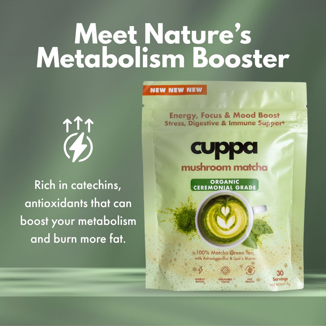 Mushroom Matcha (60 Servings)