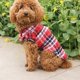 thumbnail image 5 of Camisa para perro a cuadros, ropa para perros, camisa a cuadros para mascotas, camisa suave y cómoda, ropa para gatos a cuadros (m, rojo) Rojo Verde Cocina, Decoración y Otros, 5 of 5