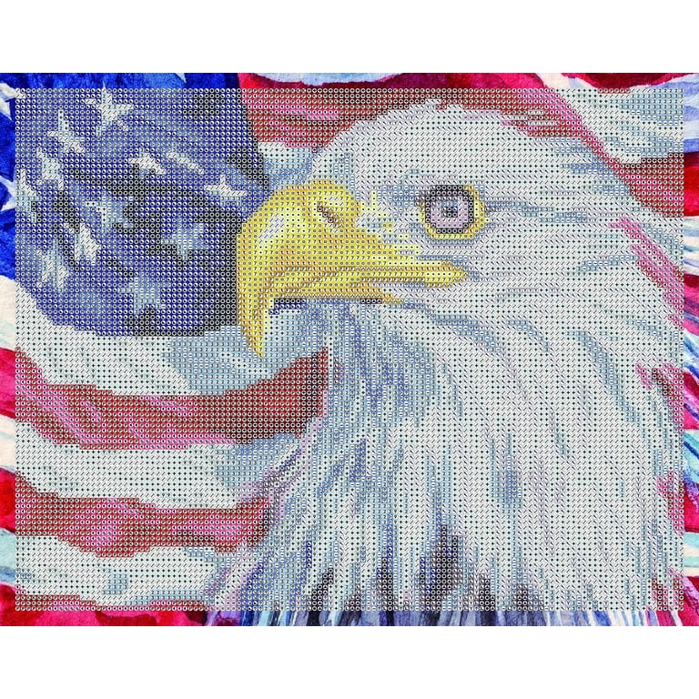 DIAMOND DOTZ® Bald Eagle & Flag Special Edition Diamond Painting