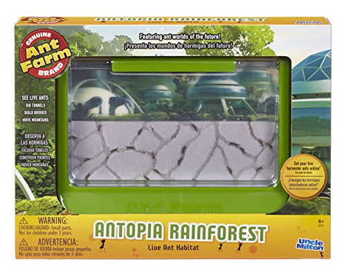 toy ant farm