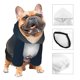 thumbnail image 3 of Fotbe Peggy's Cove Lighthouse Sudadera con Estampado para Perros Pequeños – Suéter con Capucha para Mascotas, Tela Suave de Forro Polar con Bolsillo-Medium, 3 of 7