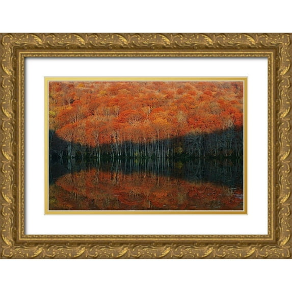 Shibata, Sho 32x23 Gold Ornate Wood Framed with Double Matting Museum Art Print Titled - shadow fade away