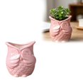 thumbnail image 2 of MKHSQHDG Today's Deals Owl Shaped Ceramic Succulent Planter Garden Container, 2 of 5