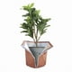 thumbnail image 3 of Protector de Maceta Plantas Invierno 45 X 50 cm, Protector Térmico para Macetas para Plantas con Cremallera y Cordón de Protección para Plantas, 3 of 5