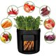 thumbnail image 2 of Bolsa de tela para cultivo de plantas, de 4, 7 y 10 galones, para flores, verduras, tomates y patatas, 2 of 5
