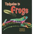 thumbnail image 3 of Tadpoles to Frogs, 3 of 3
