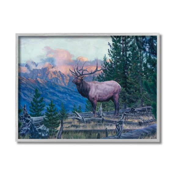 Stupell Industries Elk Forest Mountain Morning Sun Woodland Animal Design by David Graham, 11" x 14", Gray Framed