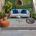 thumbnail image 2 of Turquoise Floral Outdoor Rug for Patio/Deck/Porch, Non-Slip Large Area Rug 4 x 6 Ft, Modern Farmhouse Leaves Gray Striped Indoor Outdoor Rugs Washable Area Rugs, Reversible Camping Rug Carpet Runner, 2 of 8