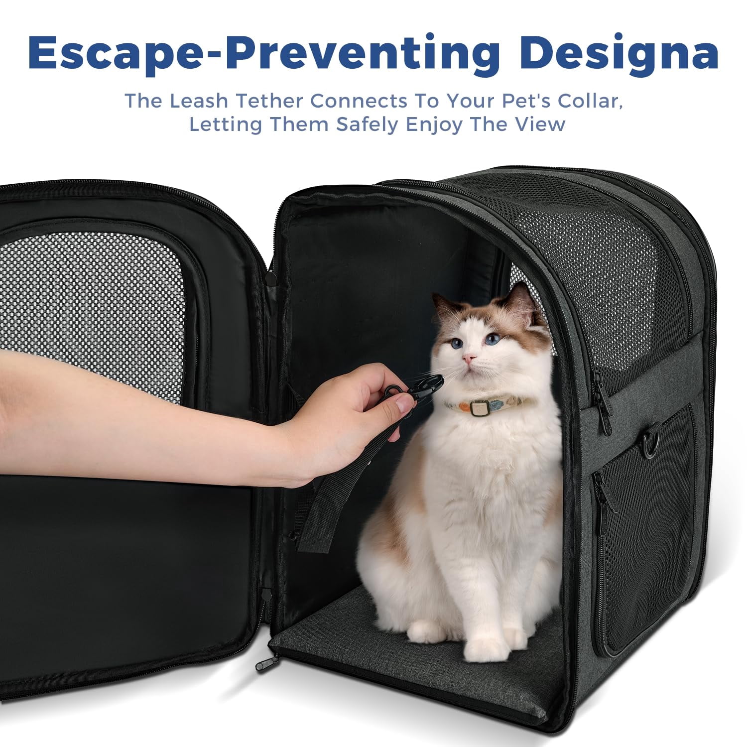 Dog & Cat Carrier Backpack for 4-18lb Pets - Ventilated Safe Design with Padded Back Support, Breathable Mesh Pet Backpack for Hiking, Travel, Outdoor (Black)